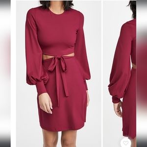 Susana Monaco Cutout Waist Bow Dress In Wild Berry Size S NWT